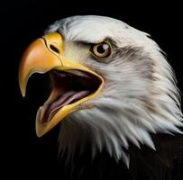 AI generated a closeup of an eagle with big beak in black background photo