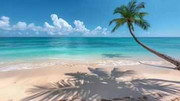 AI generated A sandy beach with clear blue skies, sparkling water, and a single palm tree casting a shadow photo