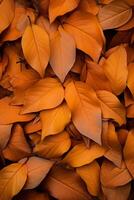 AI generated A pile of orange and yellow leaves scattered on the ground, embodying the essence of autumn photo
