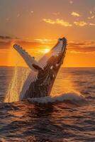 AI generated Whale Jumping Out of Water at Sunset photo