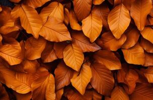 ai generado un pila de naranja y amarillo hojas dispersado en el suelo, encarnando el esencia de otoño foto