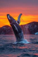 AI generated Whale Jumping Out of Water at Sunset photo