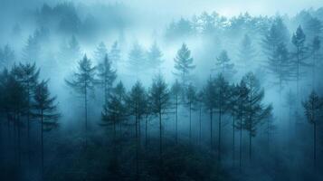 ai generado un minimalista fotografía de un brumoso bosque, con alto arboles desvanecimiento dentro el niebla y suave foto
