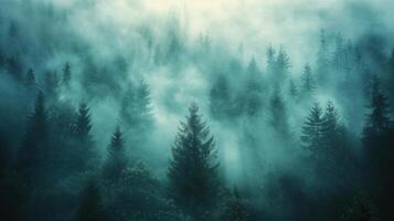 AI generated A minimalist photograph capturing a misty forest, where tall trees fade into the fog photo