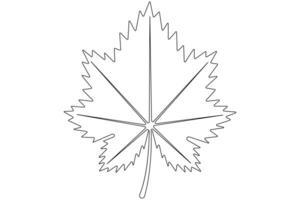 Maple leaf continuous one line art drawing of leaf decorative icon outline vector art illustration