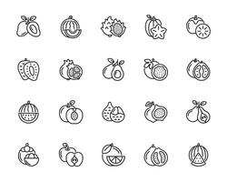 Fruits line icon set isolated on white background vector