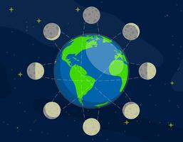 Luna etapas. rotación de Luna en orbita alrededor planeta tierra. observación de planetas y estrellas en espacio. reflujo y fluir de océanos dibujos animados vector