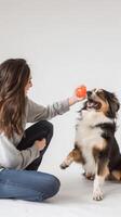 AI generated Woman playing with her dog, such as tossing a ball or playing tug-of-war with a toy, against a clean white background, generative AI photo