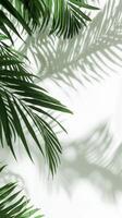 AI generated Tropical green palm leaves on a light back.  Abstract summer template. AI Generated. Ai. photo