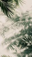 AI generated Tropical green palm leaves on a light back.  Abstract summer template. AI Generated. Ai. photo