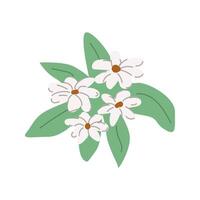 Hand drawn spring flower with leaves on branch vector illustration. Can used for decoration banner, greeting card, invitation decor. Spring blossom white flowers