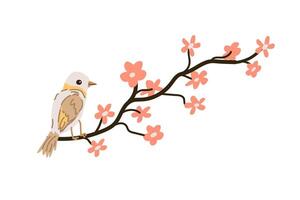 spring bird sitting on cherry blossom branch. Vector illustration isolated. Can used for wallpaper, poster, print design for cloth.