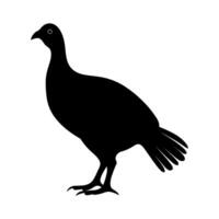 Guinea Fowl Bird Silhouette, Vector silhouette of Guinea Fowls in different positions.