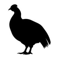 Guinea Fowl Bird Silhouette, Vector silhouette of Guinea Fowls in different positions.