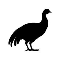 Guinea Fowl Bird Silhouette, Vector silhouette of Guinea Fowls in different positions.