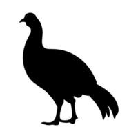 Guinea Fowl Bird Silhouette, Vector silhouette of Guinea Fowls in different positions.