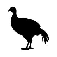 Guinea Fowl Bird Silhouette, Vector silhouette of Guinea Fowls in different positions.