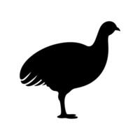 Guinea Fowl Bird Silhouette, Vector silhouette of Guinea Fowls in different positions.