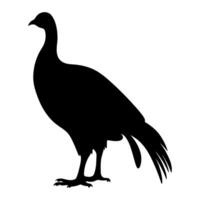 Guinea Fowl Bird Silhouette, Vector silhouette of Guinea Fowls in different positions.