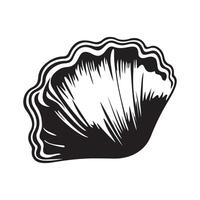 Shell Vector Art, Icons, and Graphics