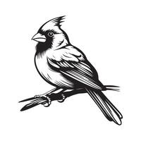 Cardinal Vector Art, Icons, and Graphics