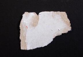 Isolated ripped paper piece. Torn blank paper with edges. photo