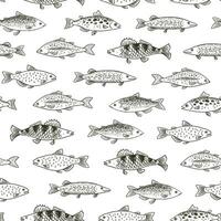 River freshwater fish vector seamless pattern.