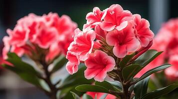 AI generated Close-Up of Pink and White Hibiscus Flowers photo