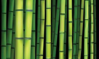 bambú tallos verde color vector para antecedentes diseño aislado en negro antecedentes.