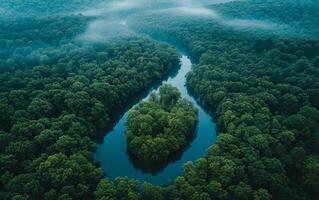 ai generado aéreo ver de río mediante brumoso bosque foto