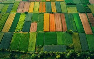 ai generado zumbido ver de vistoso agrícola campos foto