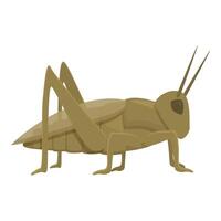 Fun grasshopper icon cartoon vector. Verdant nature insect vector