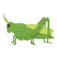 Natural grasshopper icon cartoon vector. Small collection vector