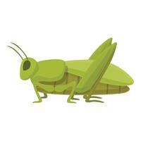 vida saltamontes icono dibujos animados vector. mascota Arte vector