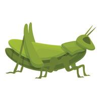 Grasshopper bug icon cartoon vector. Nature mascot vector