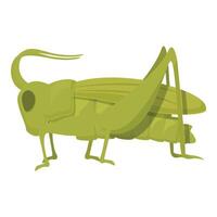 Happy grasshopper icon cartoon vector. Art nature insect vector