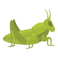 Grasshopper character icon cartoon vector. Art ant vector