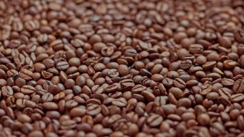 roasted coffee beans drop in slow motion on full frame background of coffe beans video