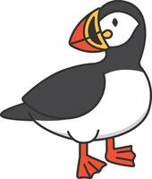 Puffin isolated on white background. Vector illustration in cartoon style.