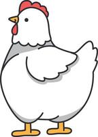 Chicken farm animal isolated on white background. Vector illustration in flat style.