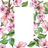 acuarela marco con rosado floreciente rama aislado en blanco. diseño modelo de floral marco con rosado blanco flores mano dibujado. elemento para Boda invitación, tarjeta, embalaje, etiqueta producto. vector