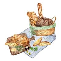 Variety of bread in a straw basket watercolor illustration isolated on white background. Hand drawn ciabatta on a wooden cutting board. Painted slice of bread. Element for design bakery, packaging vector