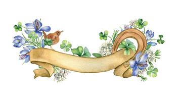 Ribbon banner with spring flowers watercolor illustration isolated on white. Painted clover, crocus and bird. Empty ribbon with horseshoe lucky symbol hand drawn. For St.Patricks day, Easter vector