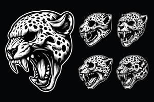 oscuro Arte enojado cráneo bestia leopardo cabeza negro y blanco ilustración vector