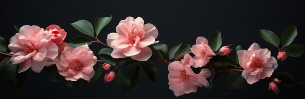 AI generated wallpapers of pink flowers with green leaves on a dark background photo