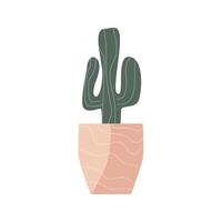 Cactus icon, Home plant cactus in pink pot. Vector illustration isolated. Can used for greeting card, banner, sticker, wallpaper, decoration banner and poster. Home plant in decorative pot.