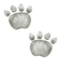 Two dinosaur footprints. Isolated hand drawn watercolor illustration. A clipart pair of Animal traces for children's invitation cards, parties, baby shower, decoration of kid's rooms vector