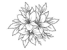 Flower Line Art Black and White vector