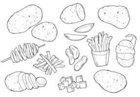 Hand drawn sketch style set illustration of ripe potatoes. Doodle potato sketch set vector