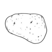 Doodle potato icon in vector. Line potato sketch icon vector